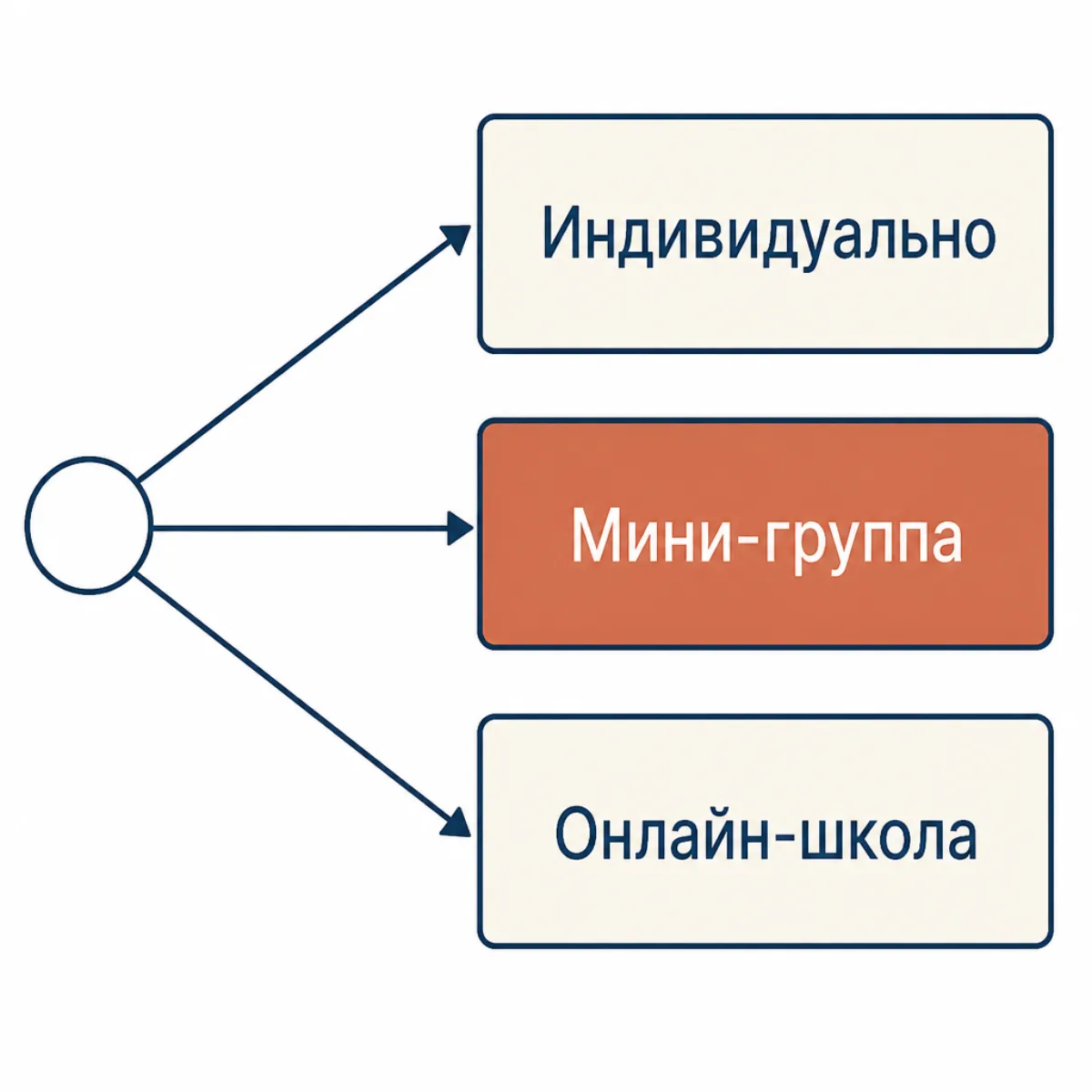 Схема-развилка: три формата занятий с репетитором и чем отличается каждый по цене